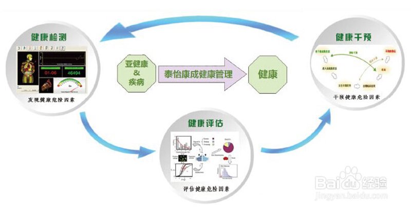 深度解析:如何进行一次全面的健康体检